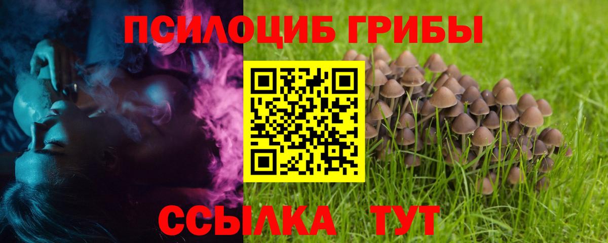 Галлюциногенные грибы прущие грибы  Вход с VPN  Великий Устюг 